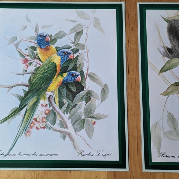 Lot of 6 Naturalist Zoology Vintage Illustrations Australian Wildlife - Picture 7 of 8